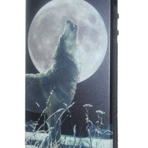 iPhone 5/5s Phone Cases